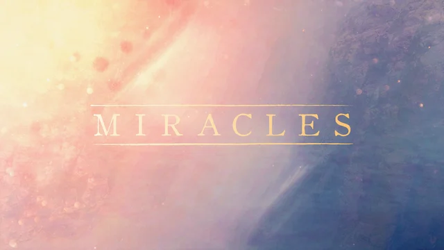 A Miracle in a Lunchbox artwork